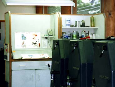 makART Cards at Action Printers