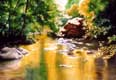 watercolor painting