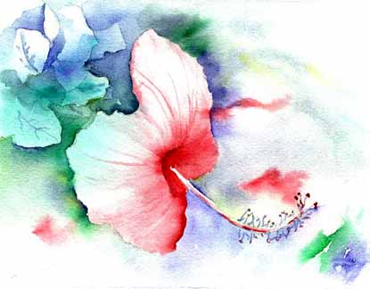 Watercolor Painting, Hibiscus Solo by Sue Turner.