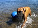 Quincy plays soccer.