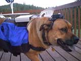 That's my back pack...