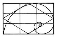 Combined rectangles.